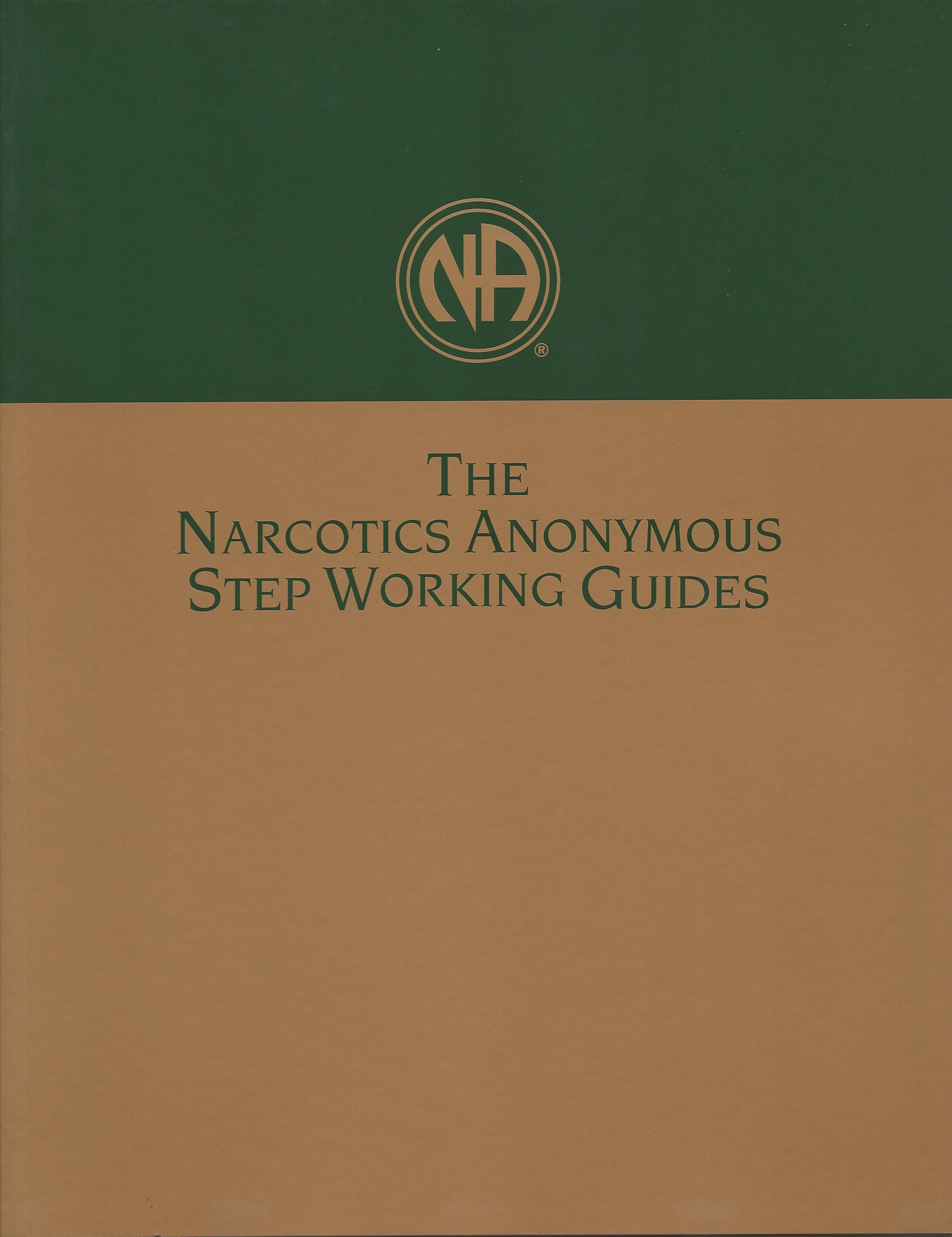 na-step-working-guide-12-steps-of-na-my-12-step-store