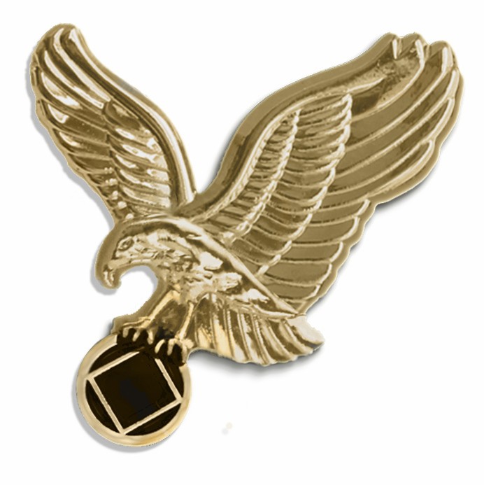 Na Gold Eagle Lapel Pin