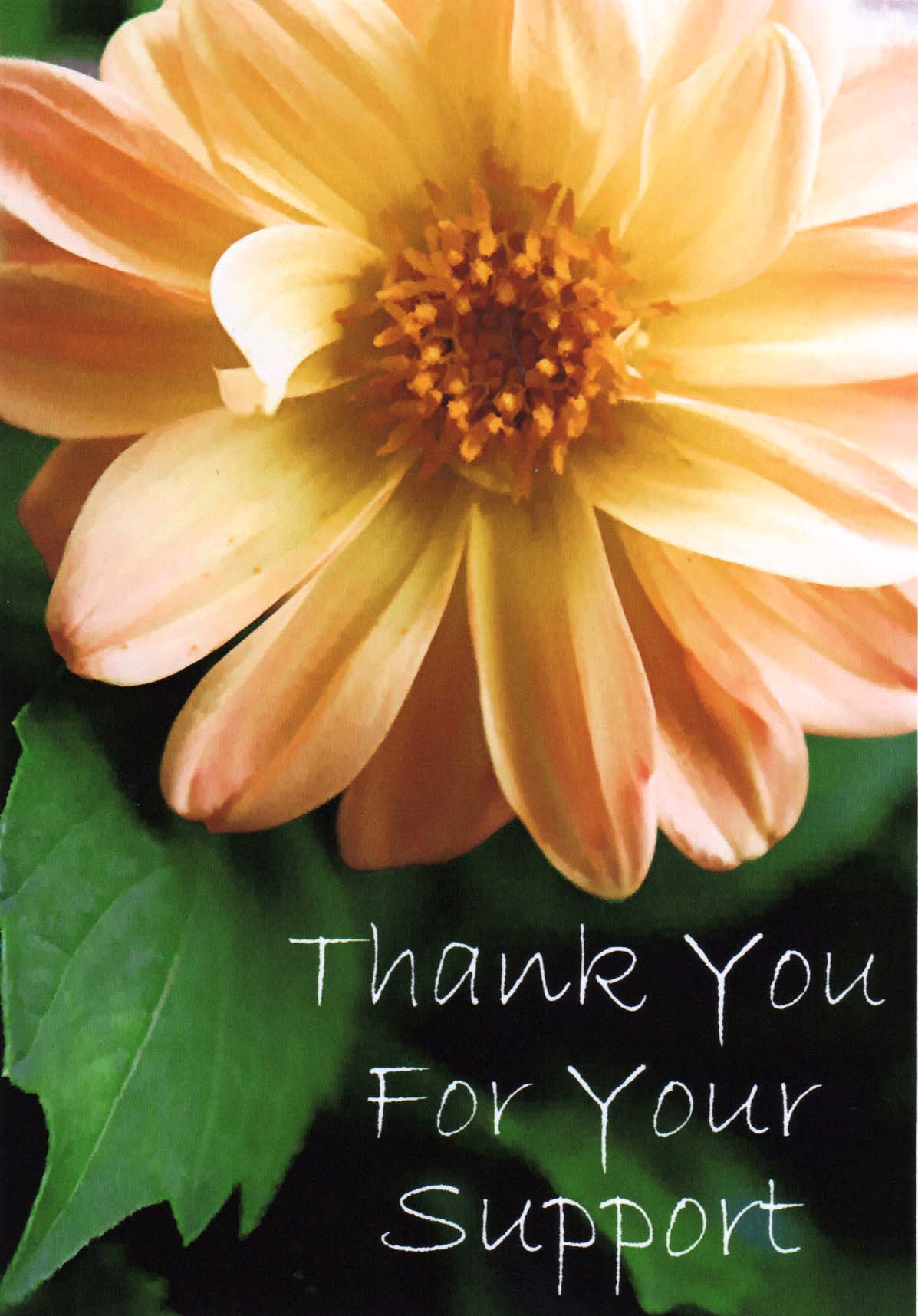 Thank You For Your Support Greeting Card