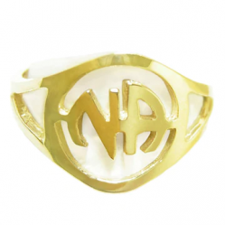 14k Gold Ring NA Initial