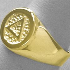 14k Gold Mens Ring with AA Symbol in a Wide Signet Style