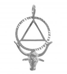 AALonghornSterPendant.jpg