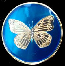 ButterflyBlue.jpg