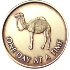 CamelSerenityMedallion.jpg