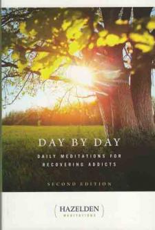 DayByDay2015