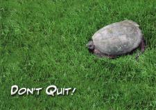 DontQuit4785.jpg