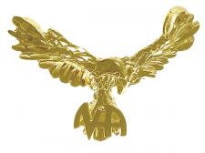 14k Gold Eagle NA Pendant