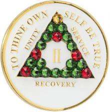  AA Medallion GLOW in Dark w Christmas Bling Crystals