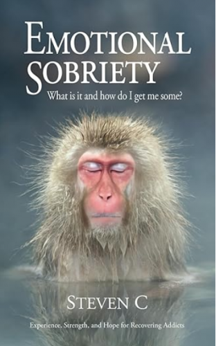 emotional-sobriety-steven-c.PNG