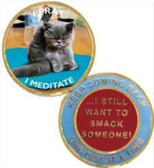 Yoga Cat Recovery Medallion