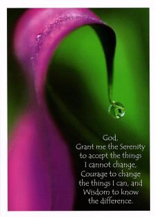 Through The Looking Glass Serenity Prayer Greeting Card