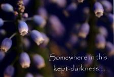 Somewhere in this kept-darkness Greeting Card