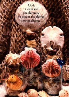 Sea Shell Serenity Prayer Greeting Card