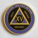 AA Gold Black and Purple Recovery Medallion